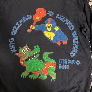 King Gizzard and The Lizard Wizard Hoodie